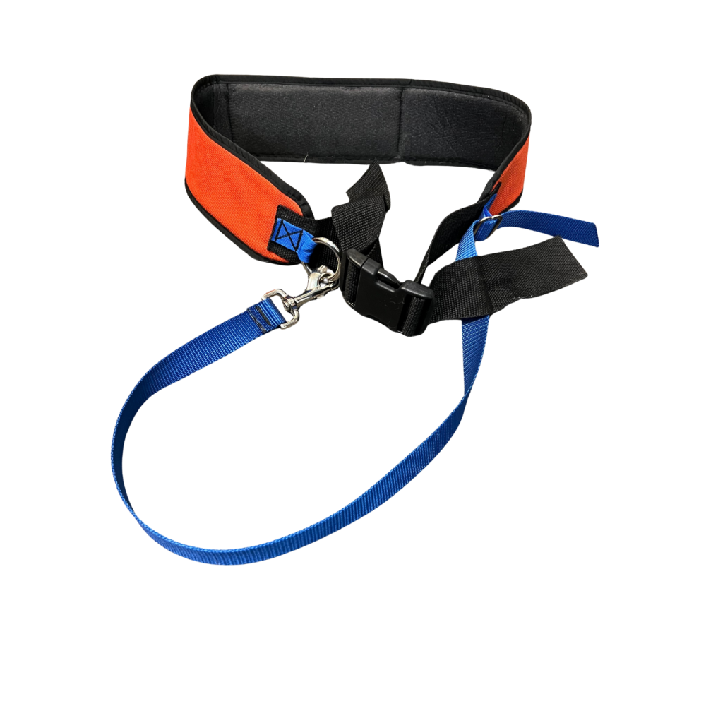 Dog Walking Belt
